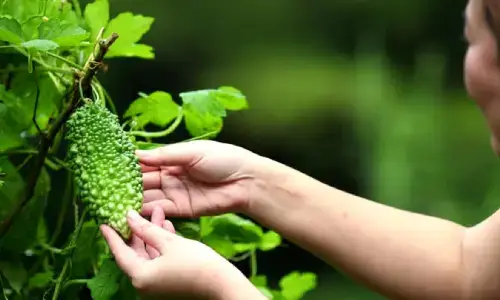 ingredient